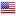 English-US